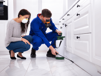 About Roach Control Summer Hills - roach control experts in Summer Hills